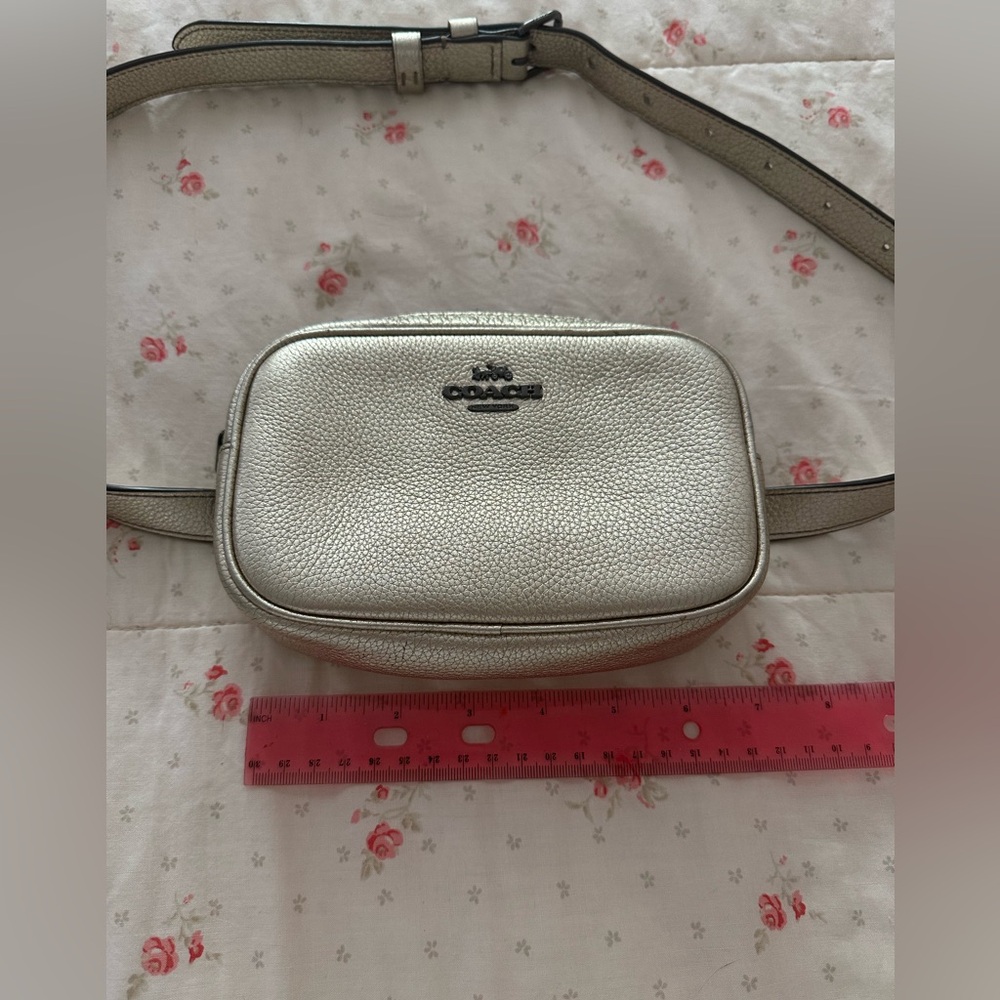 Coach Metallic Silver Crossbody Bag